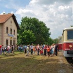 DSC_0679 (2)